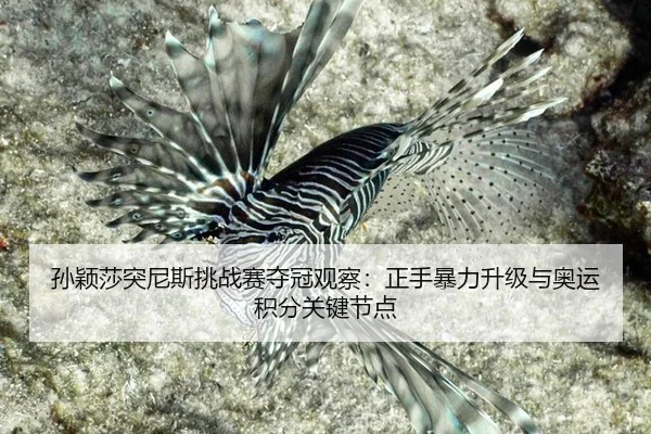 sun-ying-sha-tu-ni-si-tiao-zhan-sai-duo-guan-guan-cha-zheng-shou-bao-li-sheng-ji-yu-ao-yun-ji-fen-guan-jian-jie-dian-3-831.jpg